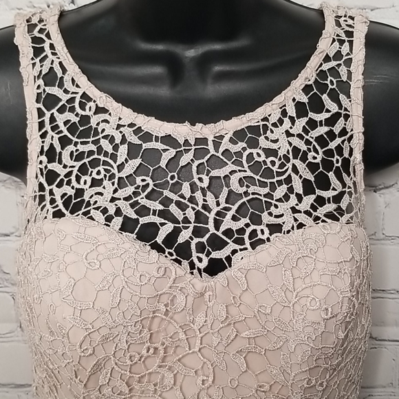 NWT Sequin Hearts crop lace top - Picture 3 of 7